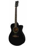 FS100C (Black), зображення 1
